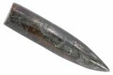 Jurassic Fossil Belemnite Rostrum - England #357342-1